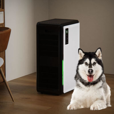Medical Grade Pet Air Purifier With True H13 HEPA Filter For Dander Elimination